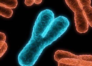 Erkeklik kromozomu Eriyor: Atalarımızdan Kalan Miras Tükeniyor