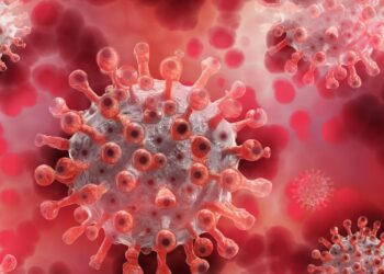 İngiltere’de yeni Maymun çiçeği varyantı: Seyahat ve Sınır Önlemleri