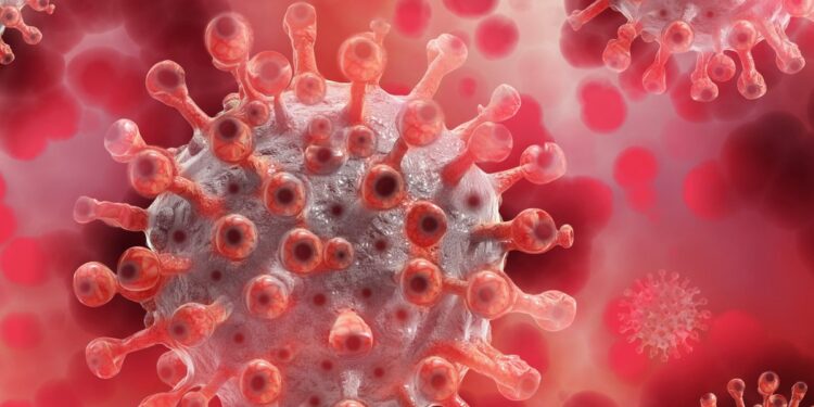 İngiltere’de yeni Maymun çiçeği varyantı: Seyahat ve Sınır Önlemleri