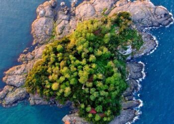 Giresun Adası Turizme Açılıyor: Ulaşım ve Altyapı Hazırlıkları Tamam