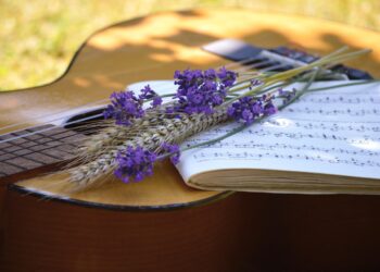 Akustik gitarın üzerinde nota defteri, lavanta demeti ve başaklar yer alıyor.