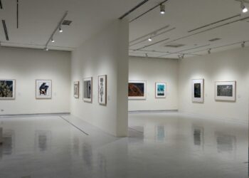 Beyaz duvarlı modern bir sanat galerisinde sergilenen tablolar