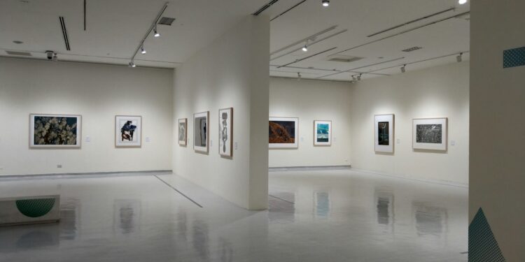 Beyaz duvarlı modern bir sanat galerisinde sergilenen tablolar