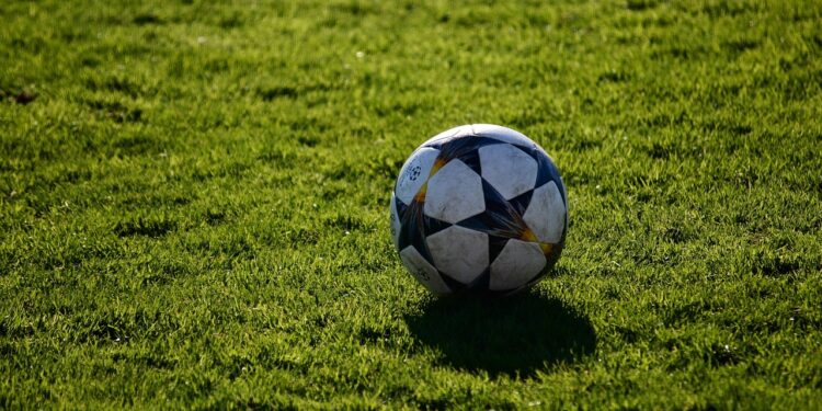 Çim sahada duran klasik desenli siyah beyaz futbol topu.